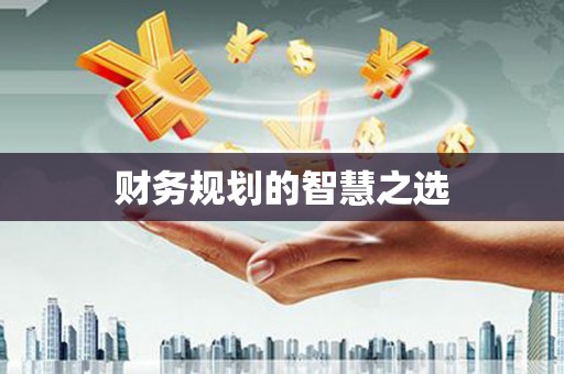 柳河财务规划的智慧之选