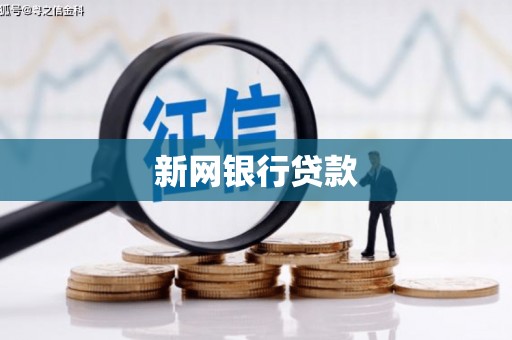泸西新网银行贷款