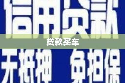 巴马贷款买车