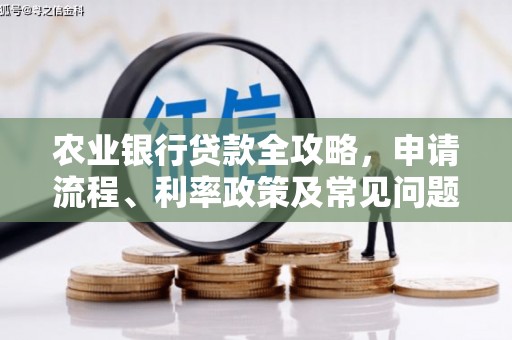 从江农业银行贷款全攻略，申请流程、利率政策及常见问题解析