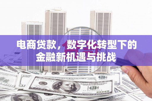 九台电商贷款，数字化转型下的金融新机遇与挑战