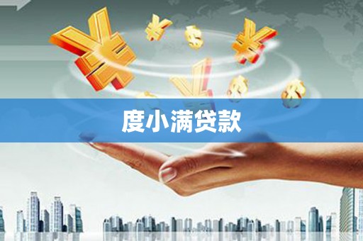 雨山度小满贷款