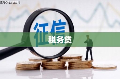 薛城税务贷
