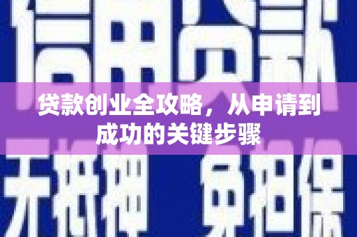 利通贷款创业全攻略，从申请到成功的关键步骤