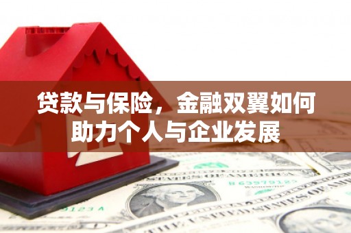 虾峙贷款与保险，金融双翼如何助力个人与企业发展