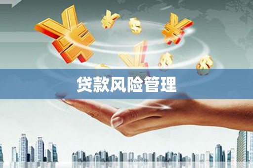 线西贷款风险管理