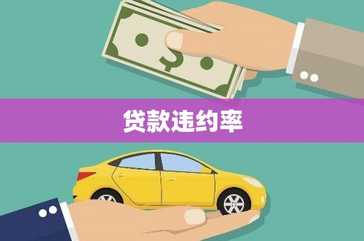 濮阳贷款违约率