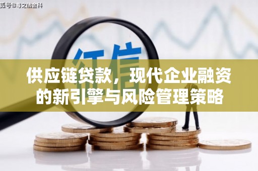 板桥供应链贷款，现代企业融资的新引擎与风险管理策略