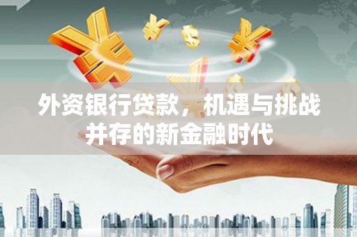 郸城外资银行贷款，机遇与挑战并存的新金融时代