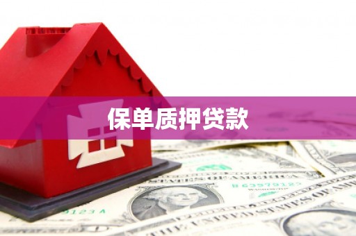 潭子保单质押贷款