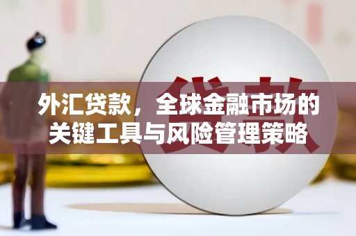 弋江外汇贷款，全球金融市场的关键工具与风险管理策略