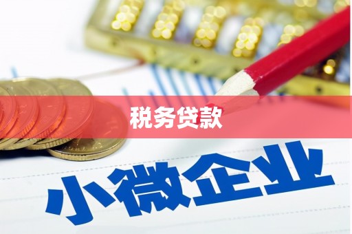 武清税务贷款