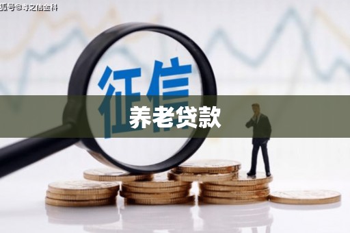 湟源养老贷款