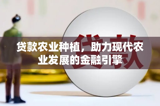 卑南贷款农业种植，助力现代农业发展的金融引擎