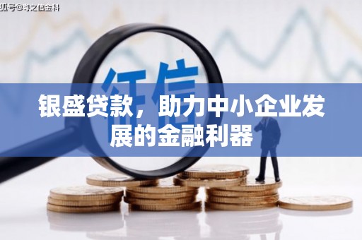 天宁银盛贷款，助力中小企业发展的金融利器