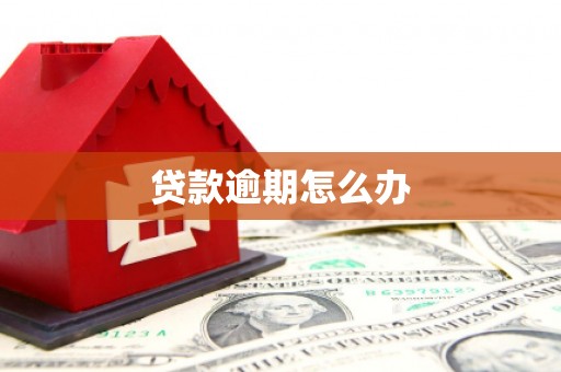 新兴贷款逾期怎么办