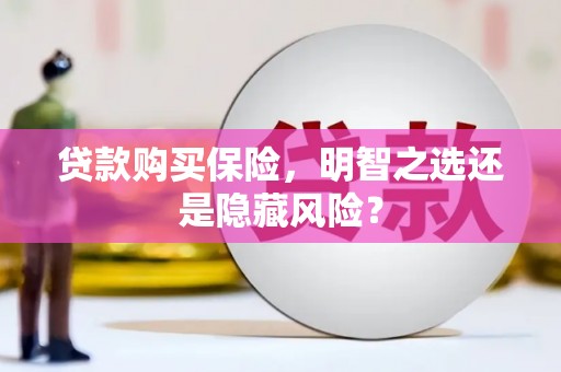 临安贷款购买保险，明智之选还是隐藏风险？