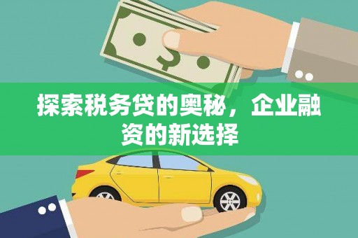 呼和浩特探索税务贷的奥秘，企业融资的新选择