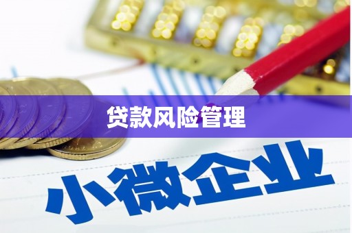 玉山贷款风险管理
