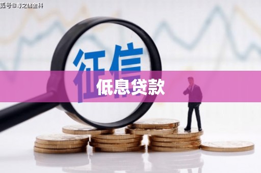 海原低息贷款
