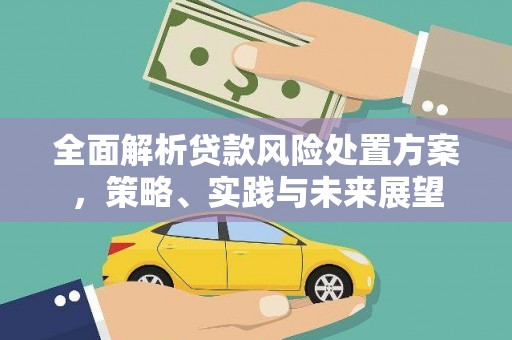 曲水全面解析贷款风险处置方案，策略、实践与未来展望