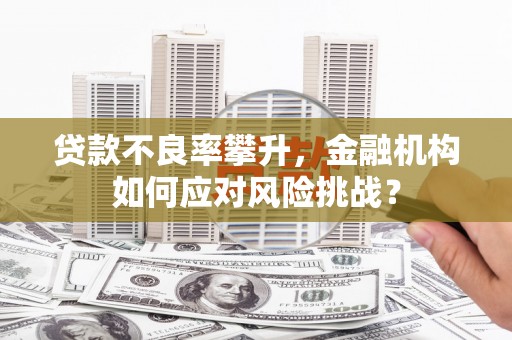 林园贷款不良率攀升，金融机构如何应对风险挑战？