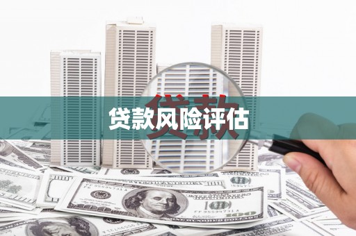 麦积贷款风险评估