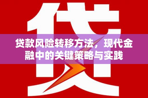 阳新贷款风险转移方法，现代金融中的关键策略与实践