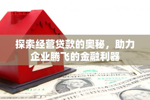 岢岚探索经营贷款的奥秘，助力企业腾飞的金融利器