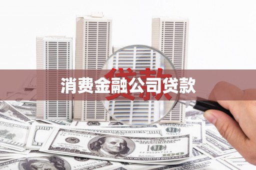 武川消费金融公司贷款