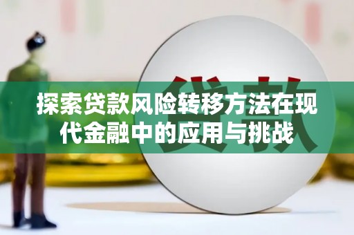 武隆探索贷款风险转移方法在现代金融中的应用与挑战