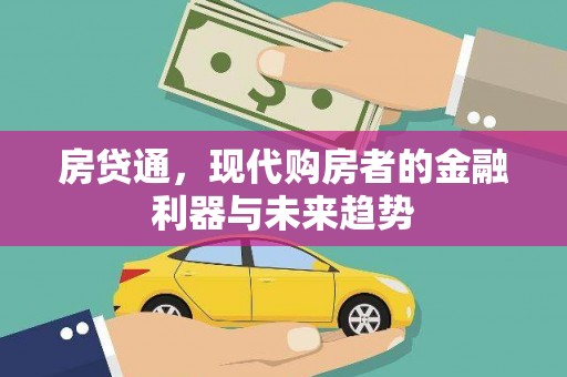 丽水房贷通，现代购房者的金融利器与未来趋势