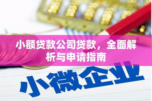 南郊小额贷款公司贷款，全面解析与申请指南