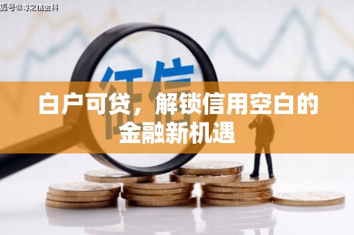 新营白户可贷，解锁信用空白的金融新机遇