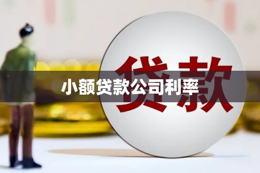 永登小额贷款公司利率