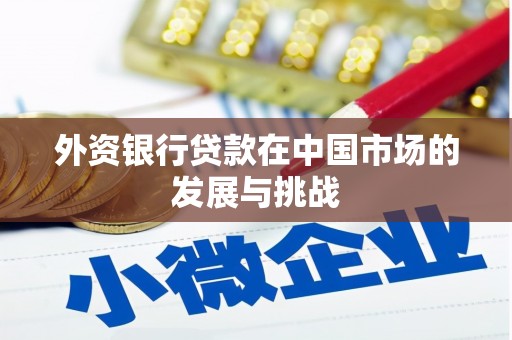 白河外资银行贷款在中国市场的发展与挑战