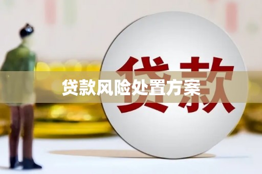 惠济贷款风险处置方案