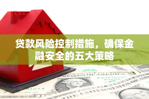 苑里贷款风险控制措施，确保金融安全的五大策略