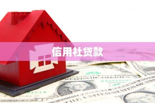 户县信用社贷款