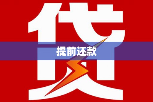 南华提前还款