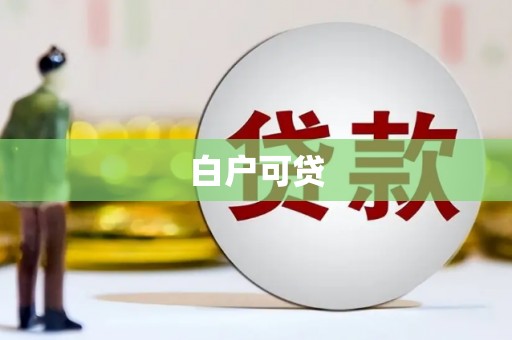石龙白户可贷
