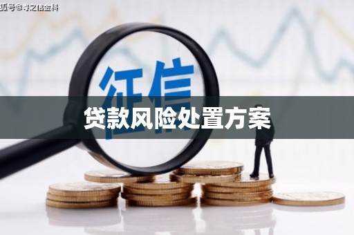带岭贷款风险处置方案
