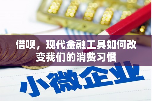 大寮借呗，现代金融工具如何改变我们的消费习惯