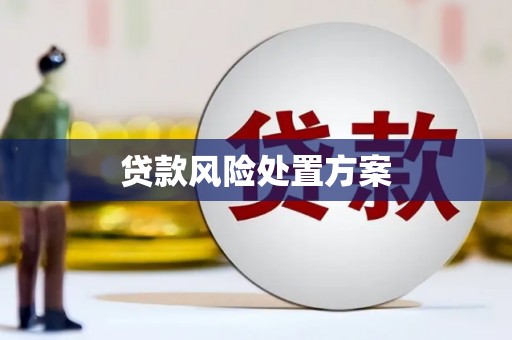 乌拉特后旗贷款风险处置方案