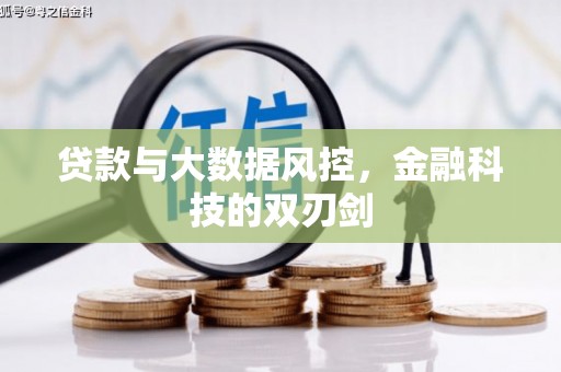 宝应贷款与大数据风控，金融科技的双刃剑