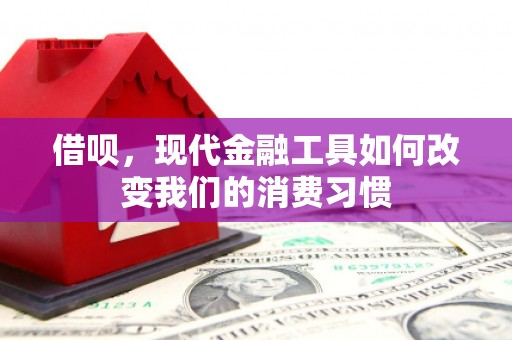 邵武借呗，现代金融工具如何改变我们的消费习惯