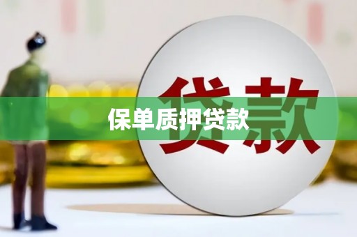 玛家保单质押贷款