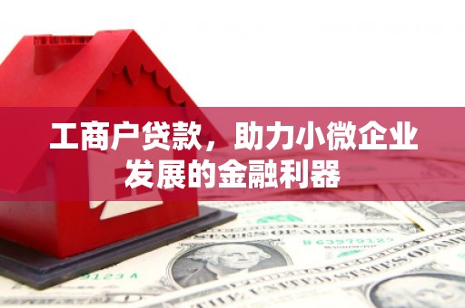 安康工商户贷款，助力小微企业发展的金融利器