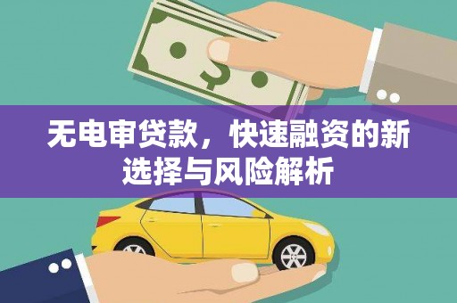 志丹无电审贷款，快速融资的新选择与风险解析
