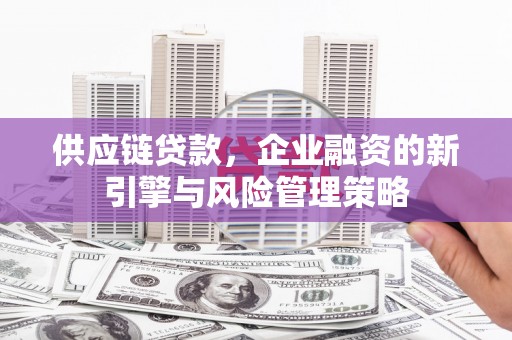 湖西供应链贷款，企业融资的新引擎与风险管理策略